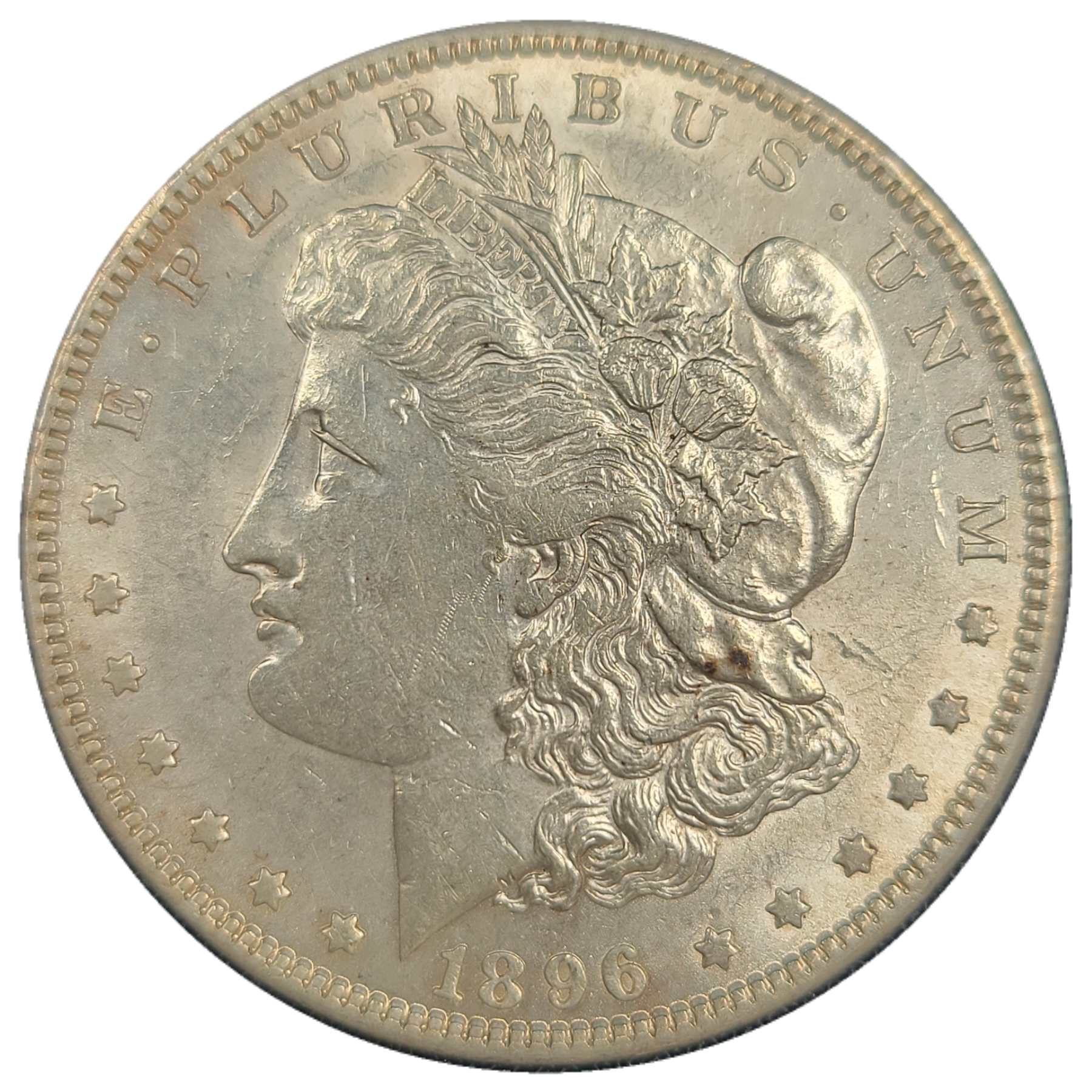 1896-$1-Morgan-Dollar-#12